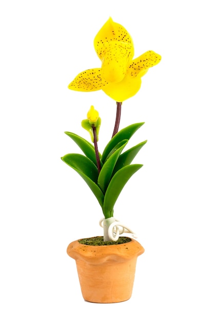 ORCHID Flower Plant in Pot Dollhouse Miniatures Garden isolate background Clipping path