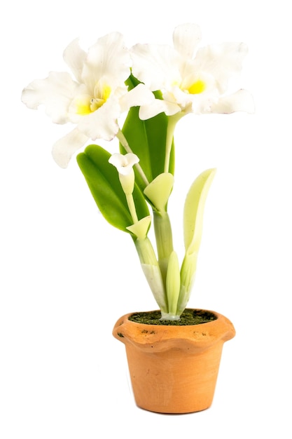 ORCHID Flower Plant in Pot Dollhouse Miniatures Garden isolate background Clipping path