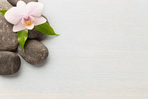 Orchid flower on wooden background with spa stones.