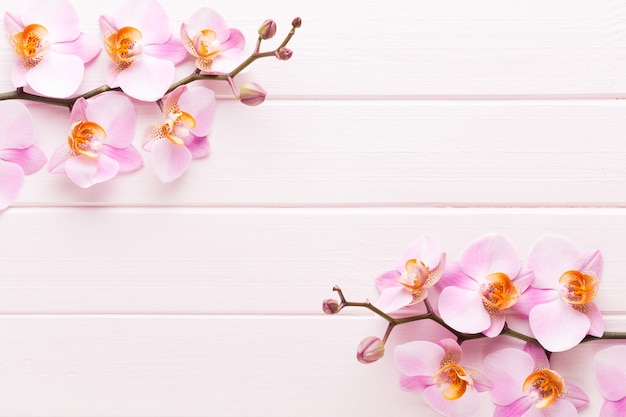 Orchid flower on the wooden pastel background. Spa and wellness scene.