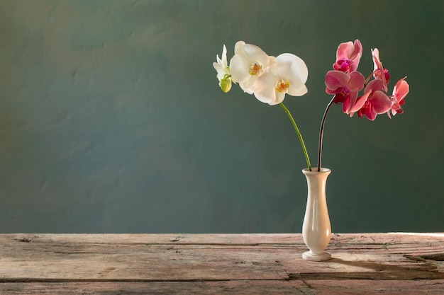 Orchid flowers in vase on blue background