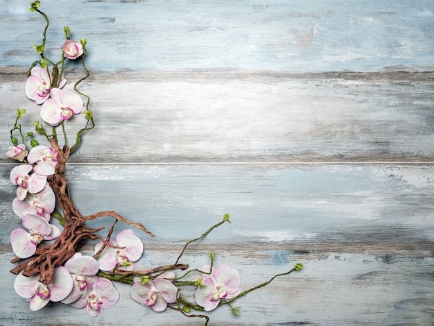 Orchid flowers wood background with wood branch, copy space.