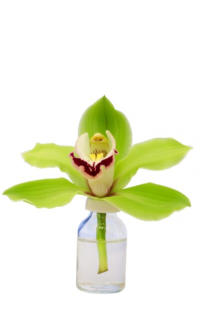 Orchid  glass bottle isolated