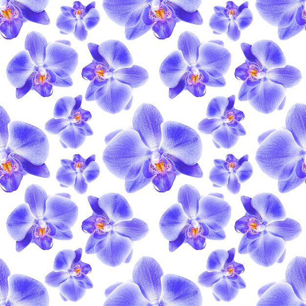 Orchid seamless pattern. Can be used as fabric, wallpaper, wrapper.