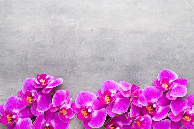 Photo orchid and spa stones on a stone background