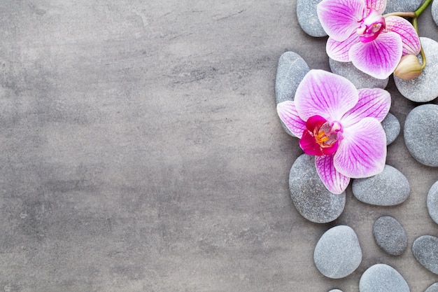 Orchid and spa stones 