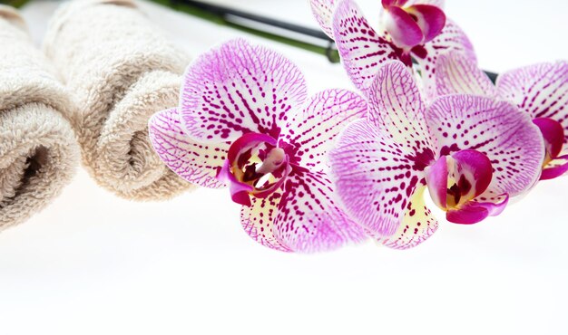 Orchideebloemen en groene bladeren en handdoeken op witte achtergrond