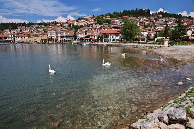 Orchideestad in Macedonië op het meer