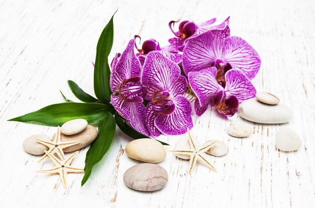 Orchids and massage stone