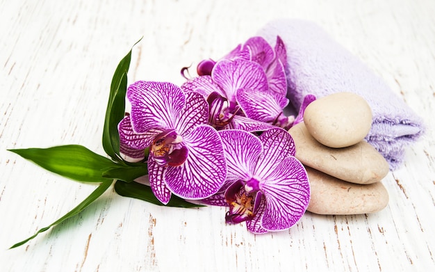 Orchids and massage stone