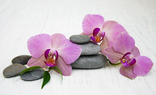 Орхидеи и массажные камни
