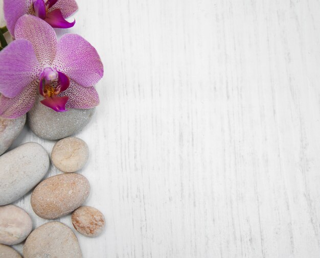 Foto orchidee e pietre per massaggi