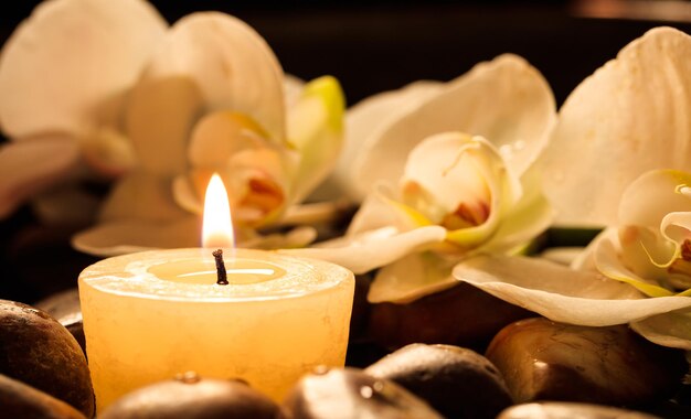 Orchids and pebbles in water background