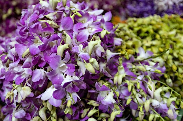 バンコクの花市場で売られている蘭
