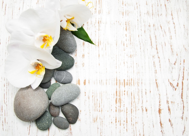 Orchids with massage stones