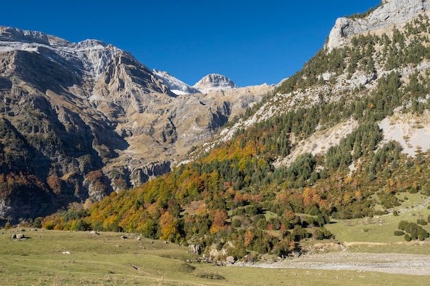 사진 가을 동안 스페인의 오르데사와 몬테 페르디도 피네타 계곡 풍경 산