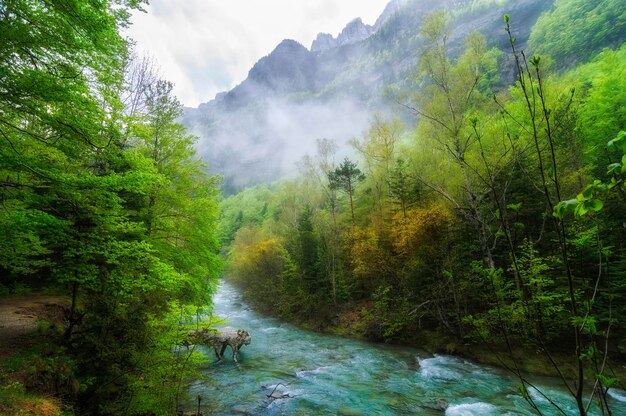 Ordesa valley