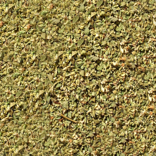 Oregano spice background