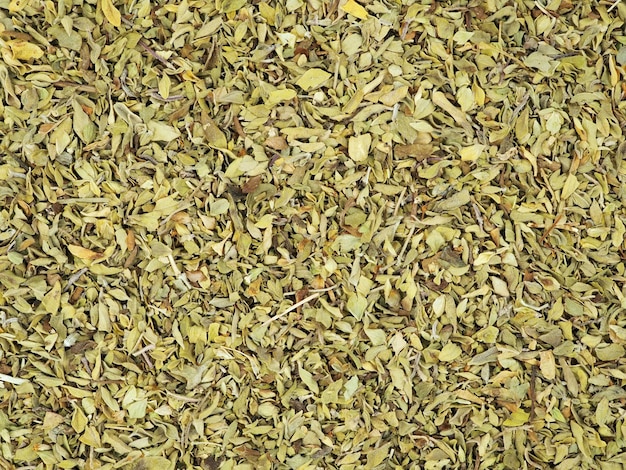 Oregano spice texture as background