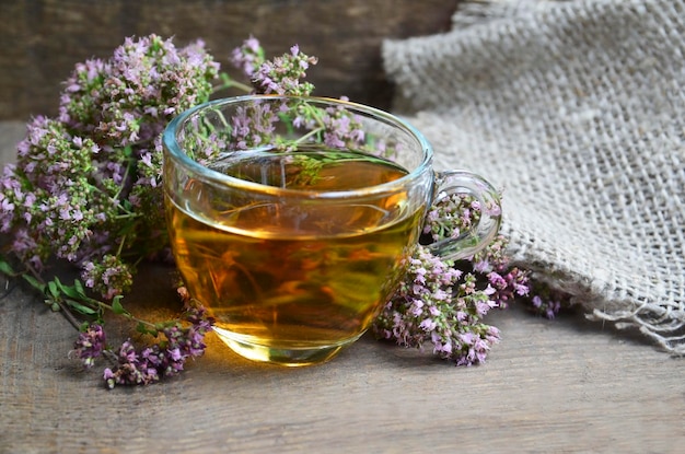 Oregano tea in a glass cup with fresh blooming herb twigs.Healthy drink,diet,alternative therapy.