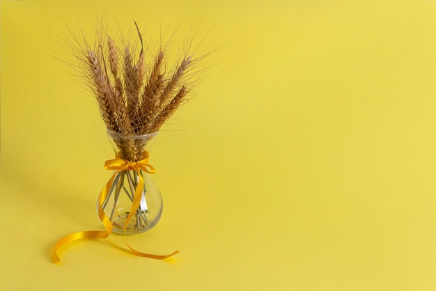 Oren van tarwe in een glazen vaas op een gele achtergrond Het concept van de Joodse feestdag Shavuot