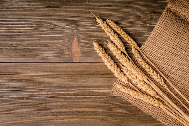 Oren van tarwe liggen op de jutezak van Hessen. Achtergrond, textuur