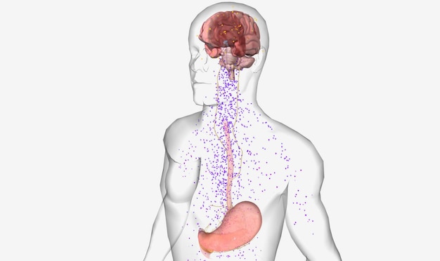 Photo orexin producing cells inhibition by leptin