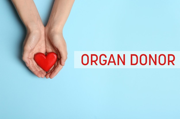 Photo organ donor woman holding heart on light blue background top view