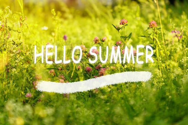 Organic background summer spring nature Hello Summer text