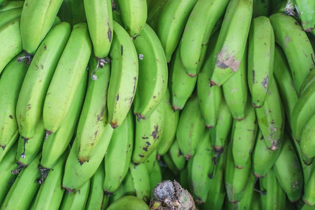 Organic banana from farmer in Central America