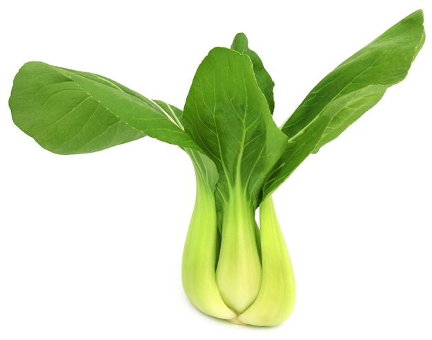 Bok choy biologico su sfondo bianco