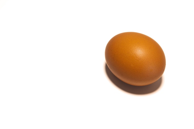 Organic brown chicken egg on white background