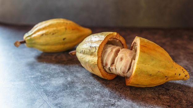 Organic Cacao Fruit and The Cacao pods