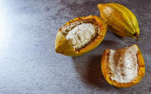 Organic Cacao Fruit Of The Cocoa Tree