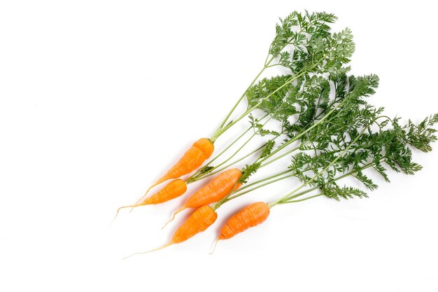 Organic Carrot vegetable with leaves isolated on white background cutout
