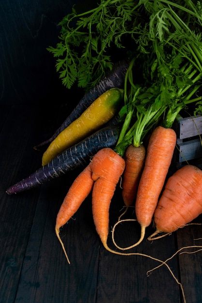 Organic carrots in different colors