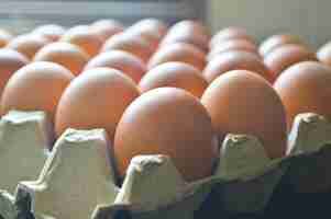 Photo organic chicken eggs in the paper tray with blurred background