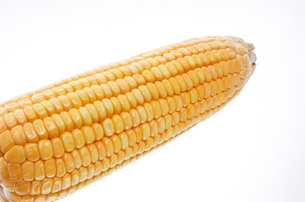 Organic corn cob isolated on white background.