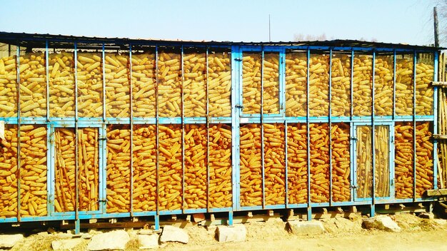 Organic corns in storage