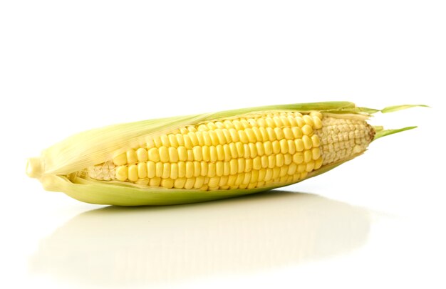 Organic ear of corn on a white