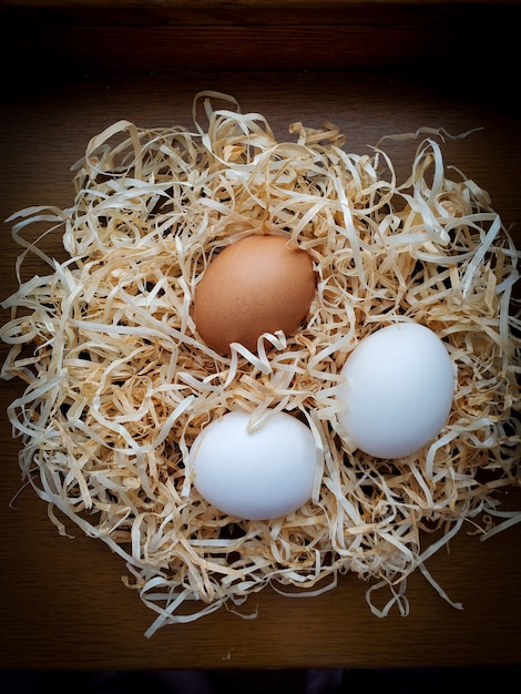 Foto uova biologiche colazione sana e naturale