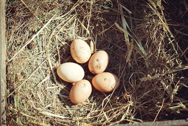 Органические яйца