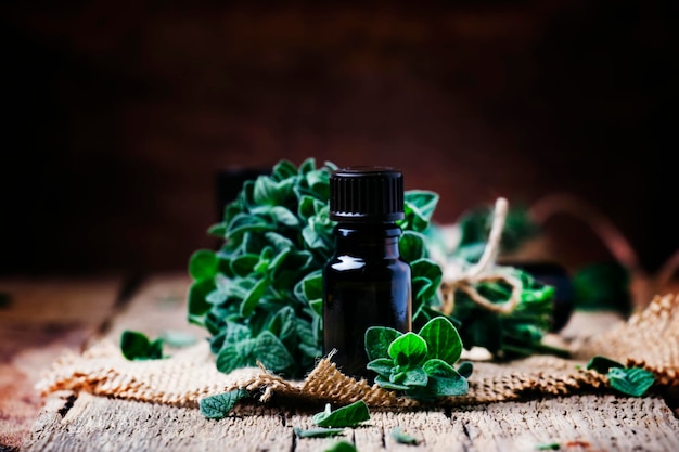 Organic essential oregano oil in a glass jar and a bunch of fresh marjoram vintage wooden background selective focus