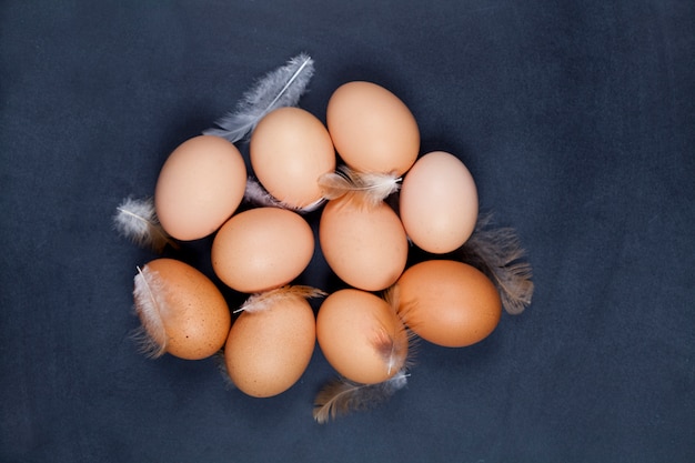 유기농 농장 닭 계란과 깃털.