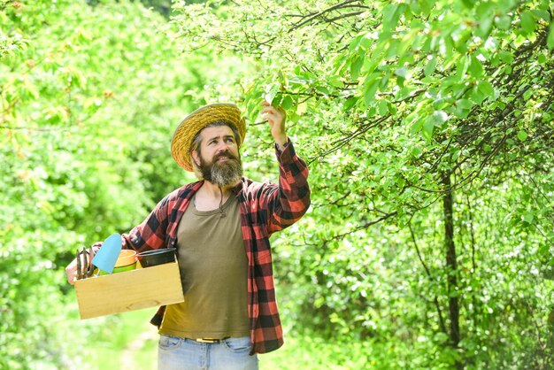 Fattoria biologica cassetta per giardiniere con attrezzo da giardinaggio consigli per il giardinaggio consigli per il giardinaggio cura del giardino contadino maturo che pianta piante stagione della semina uomo hipster barbuto che raccoglie raccolto uomo del ranch