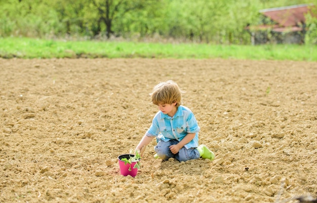 有機農場惑星保護地球の日新しい生活夏の農場幸せな子供庭師植物保育園春の季節の生態学生命農場人間と自然小さな子供が花を植える子供ガーデニング