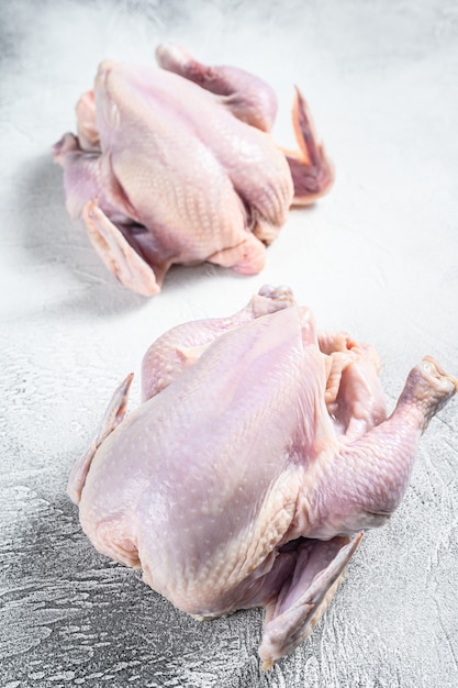 Organic farm raw whole chicken. White background. Top view.