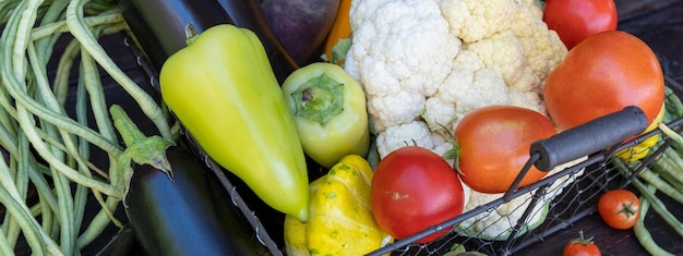 Organic farm vegetables on a dark wooden table Fresh raw cauliflower green beans zucchini corn beets Copy space