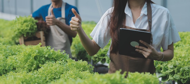 写真 有機農場労働者が温室農場の庭でチンゲン菜の有機野菜をテストし、環境データを収集する