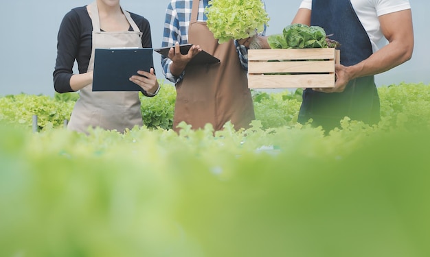 写真 有機農場労働者が温室農場の庭でチンゲン菜の有機野菜をテストし、環境データを収集する